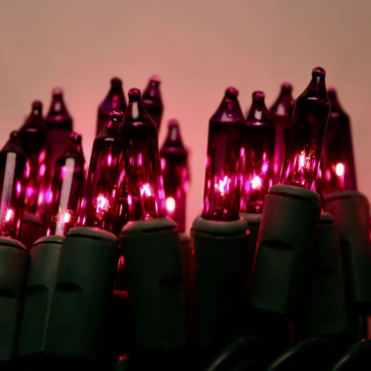 50-bulb Purple Mini Lights, 6" Spacing, Green Wire