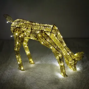 Christmas Light Up Reindeer Gold Grazing Doe - 61cm 120 Ice White LED