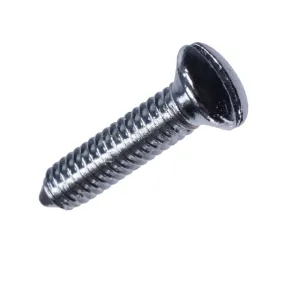 Headlamp Chrome Fixing Screw, Screw, Set, Securing Finishers And Headlamp Glasses To Bonnet - Chromed