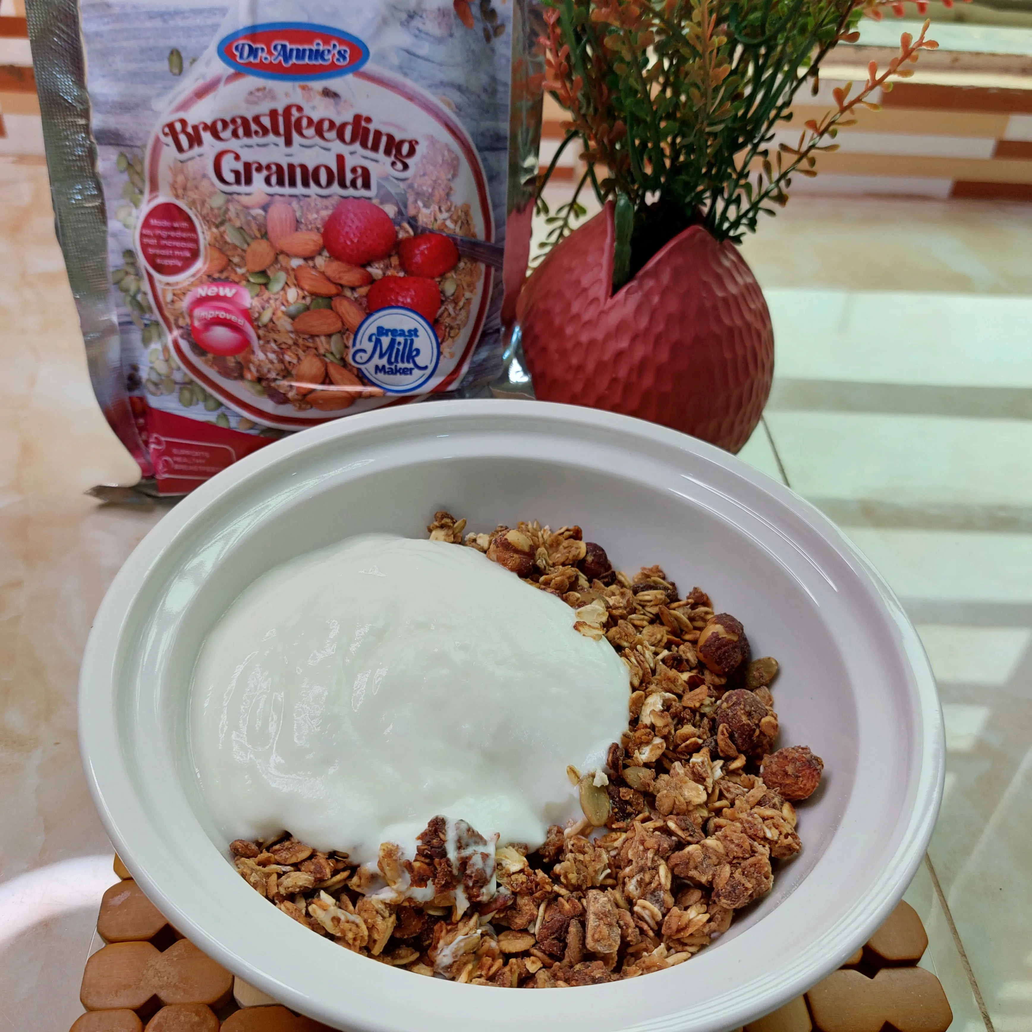 Lactation / Breastfeeding / Nursing Granola (Dr. Annie Breast Milk Maker / Booster)