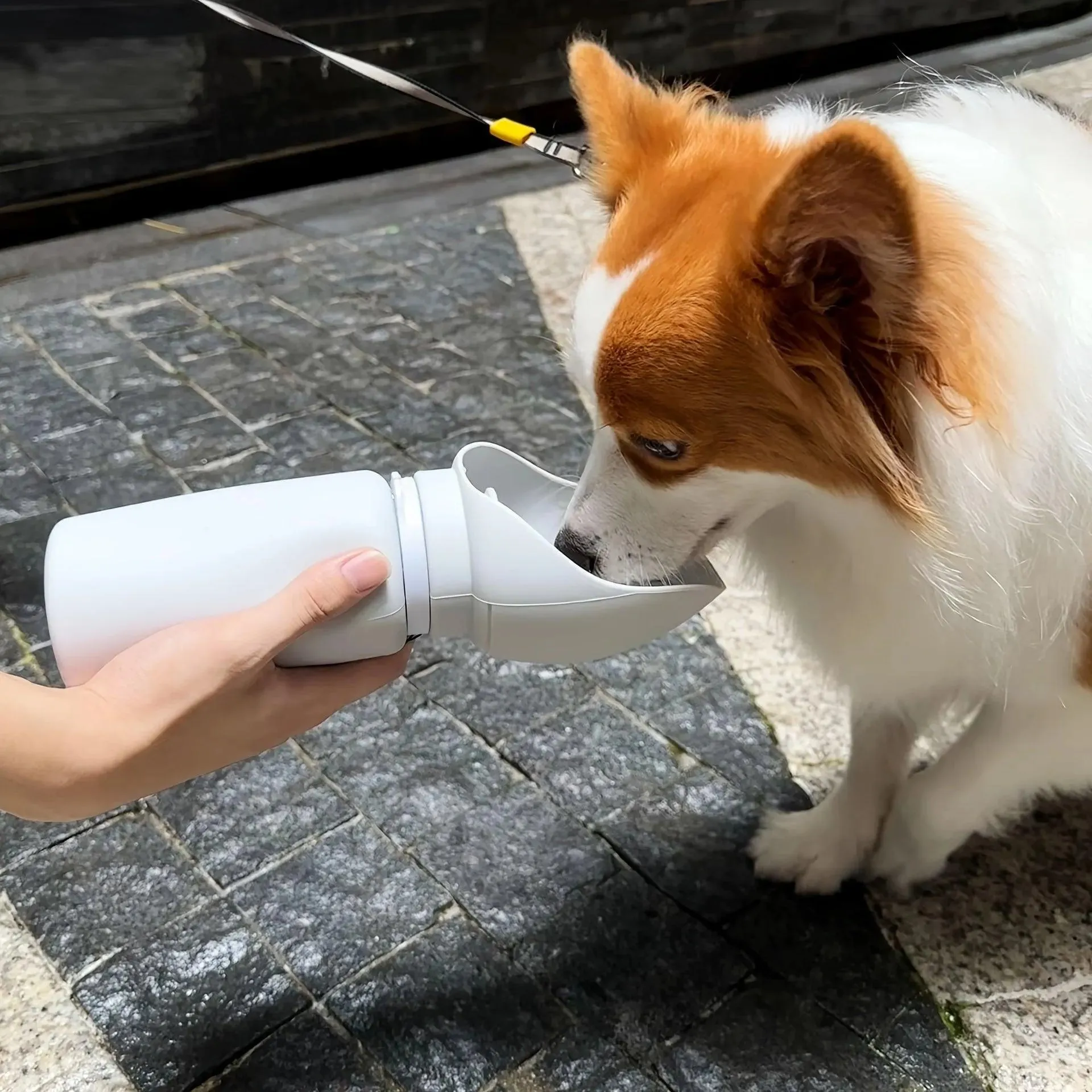 Leak-Proof Dog Water Bottle - Foldable Silicone Dispenser