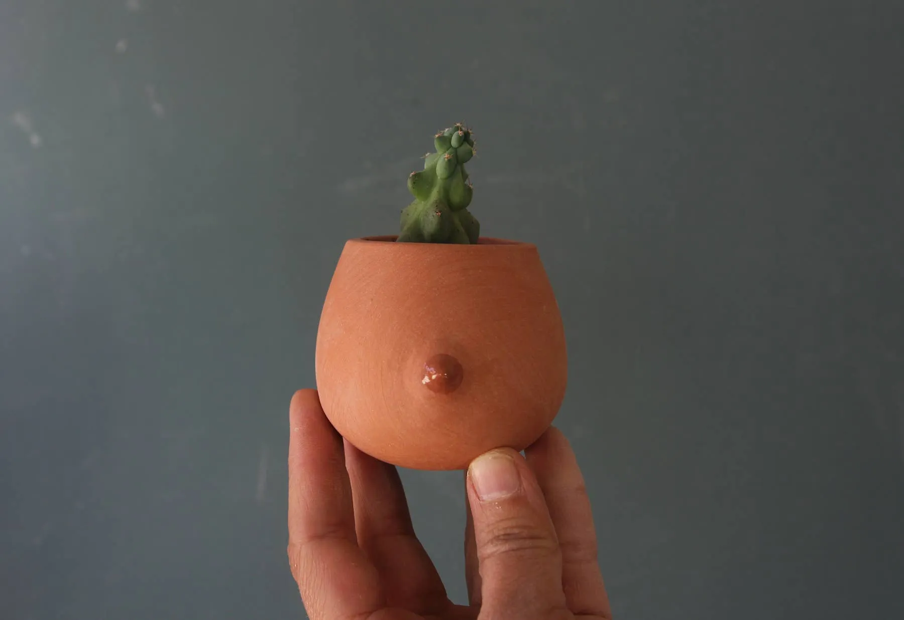 Mini Terra-cotta  Nip Cup