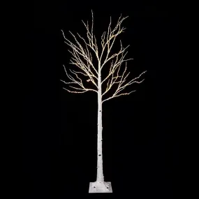 Raz Imports Lights 7' Birch Lighted Tree with Fairy Lights