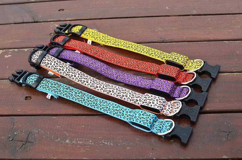 TEEK - Light Up Leopard LED Dog Collar