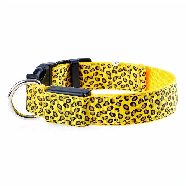 TEEK - Light Up Leopard LED Dog Collar