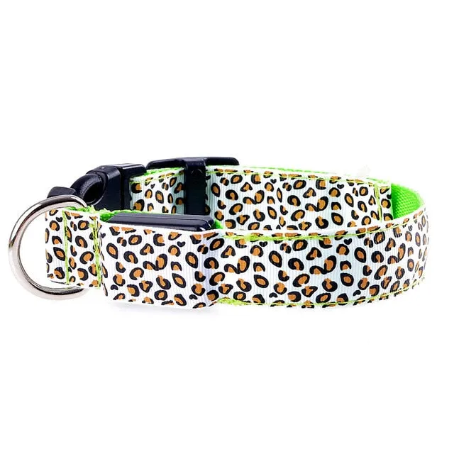 TEEK - Light Up Leopard LED Dog Collar